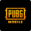 Picture of PUBG